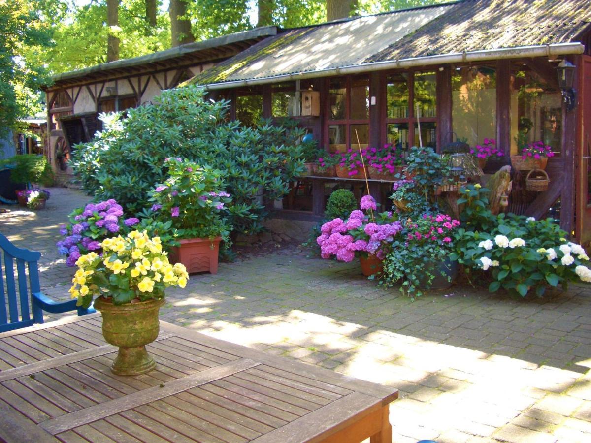 FeWo Tilda m. Sauna Garlstorf  Exterior foto